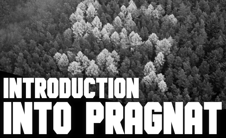 Introduction into Pragnat