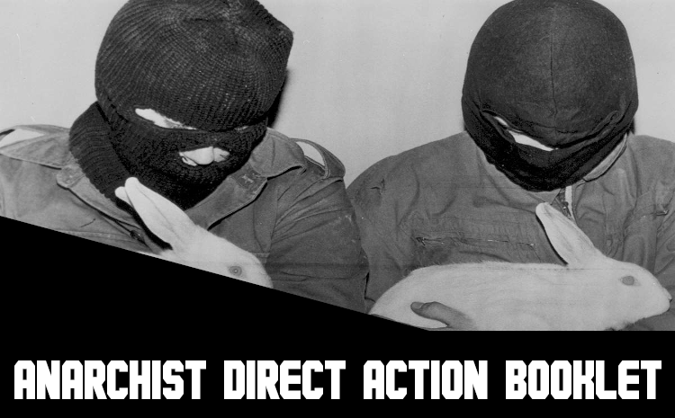 Anarchist Direct Action Booklet