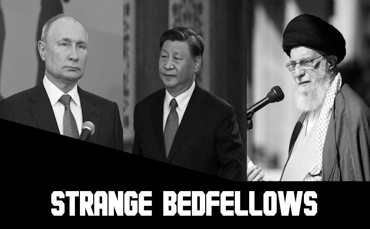 Strange Bedfellows